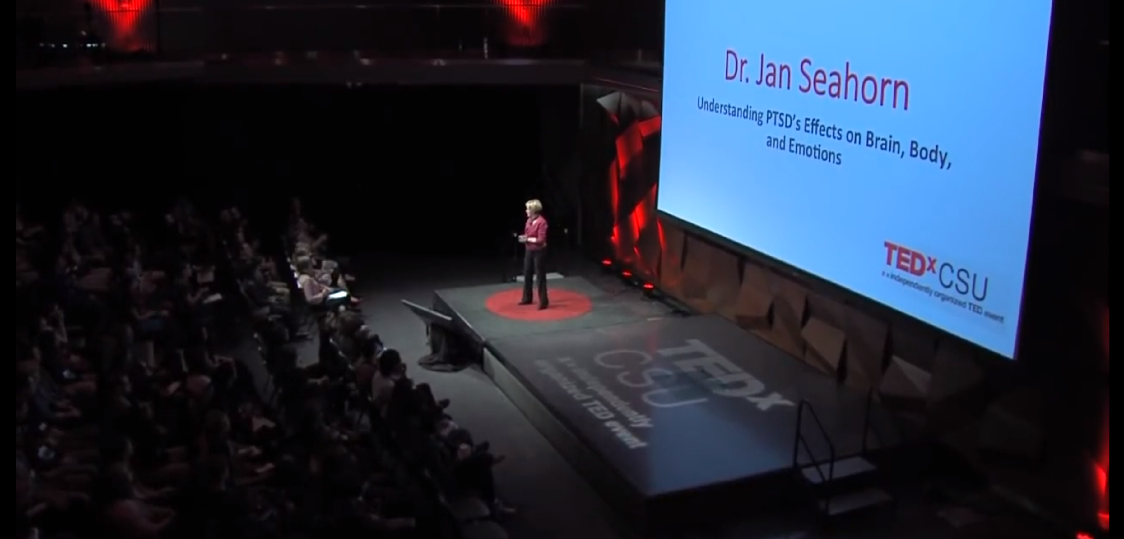 Janet Seahorn, PhD:  PTSD Ted Talk