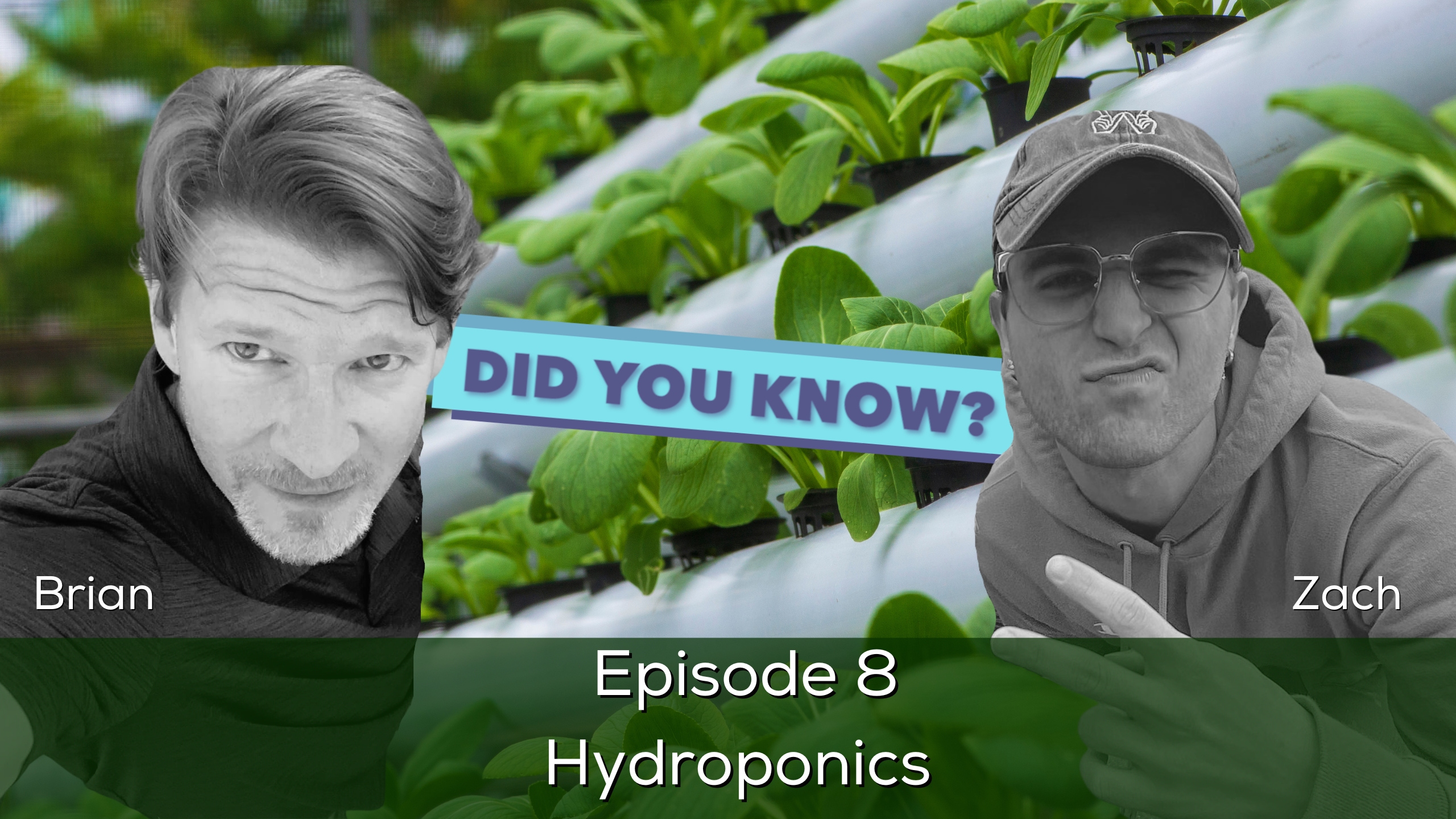 Did You Know?: Hydroponics