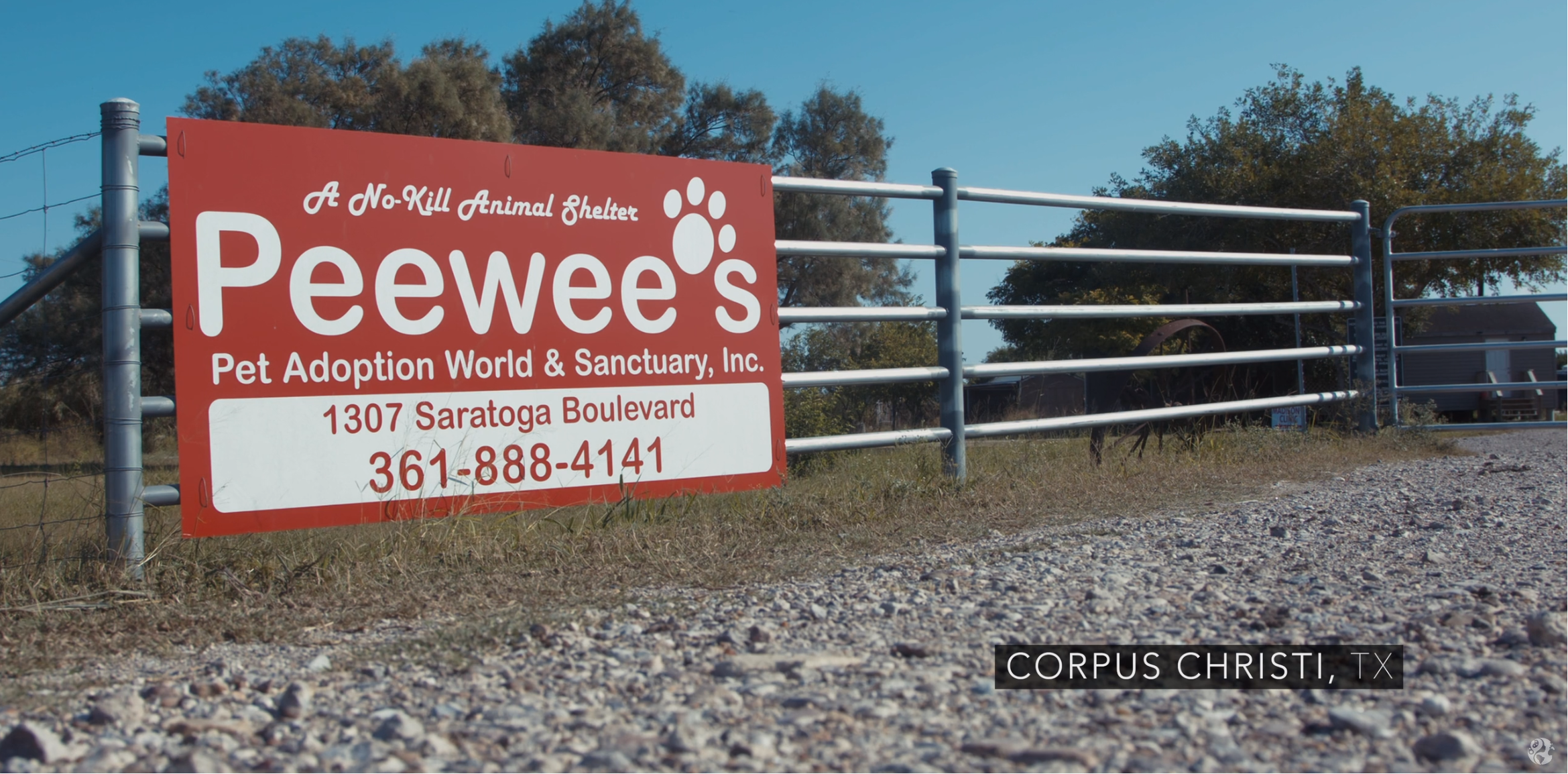 Rescue Story: PeeWee’s Animal Shelter