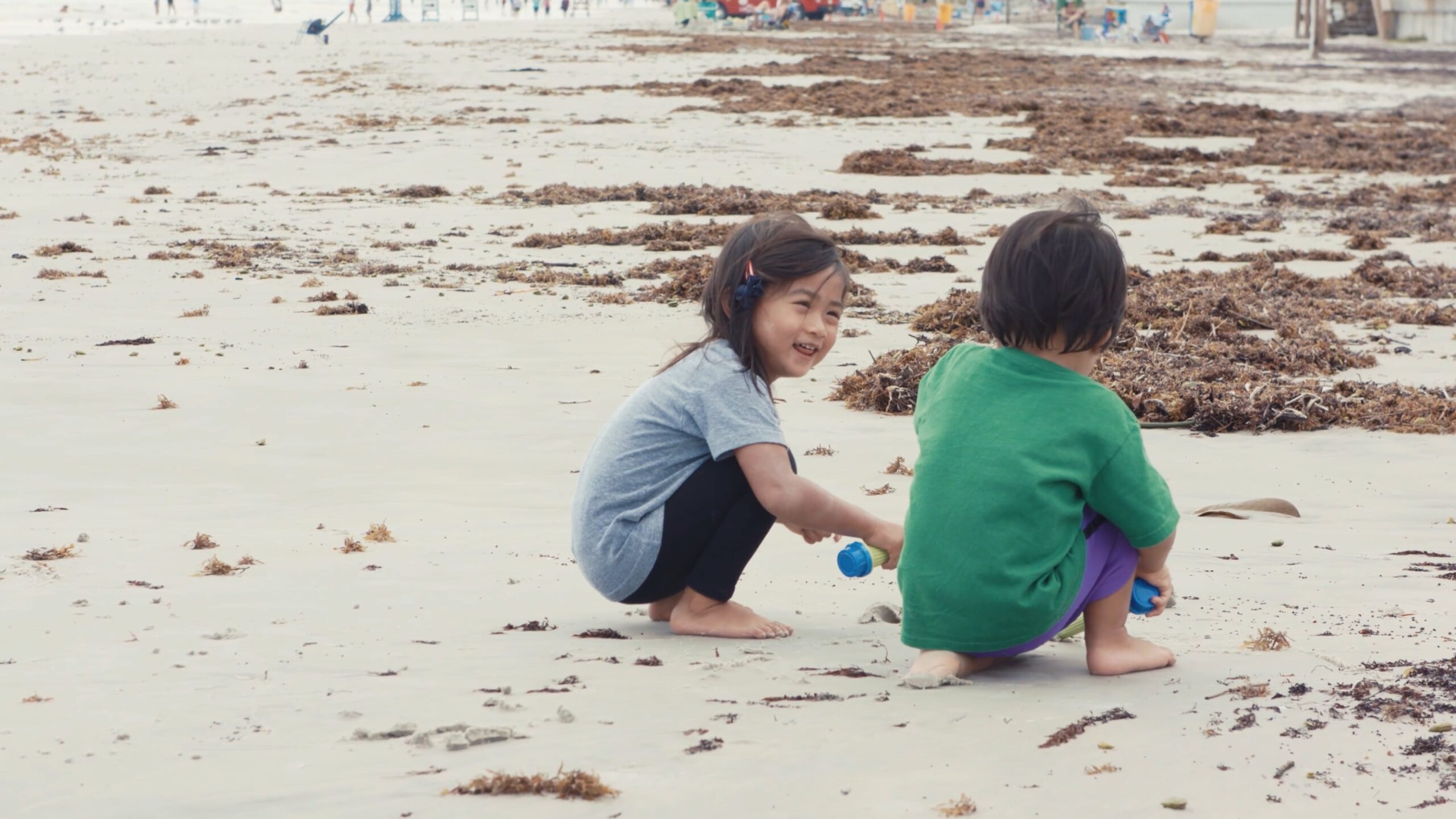 Clean Sands, Clear Conscience: New Smyrna Beach Cleanup Initiative